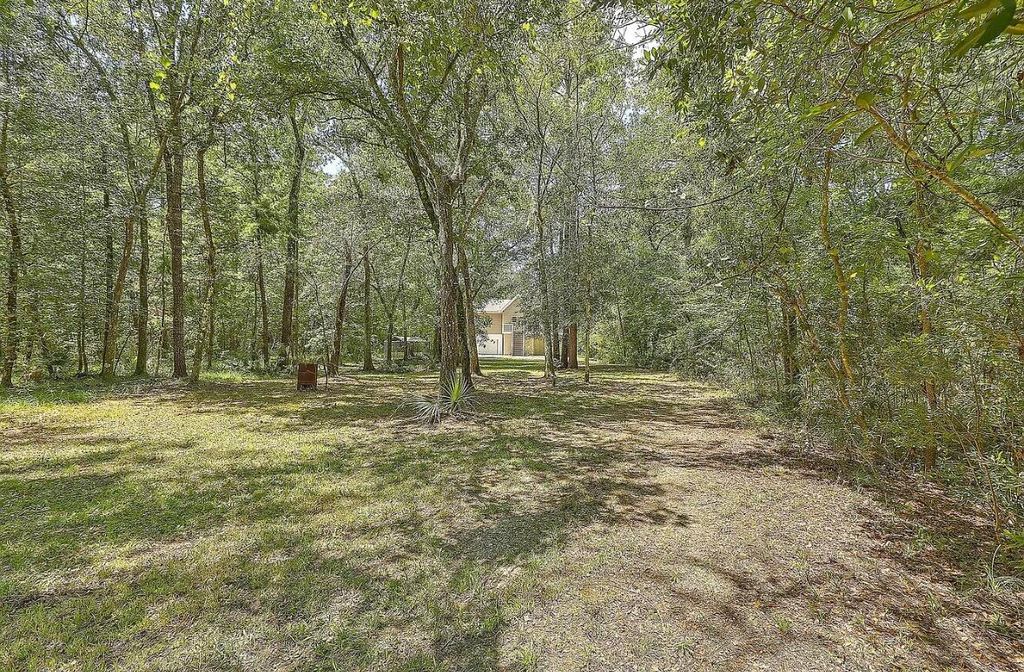 Photo of 9450 Savannah Highway, Adams Run, SC 29426 (MLS # 25033222)