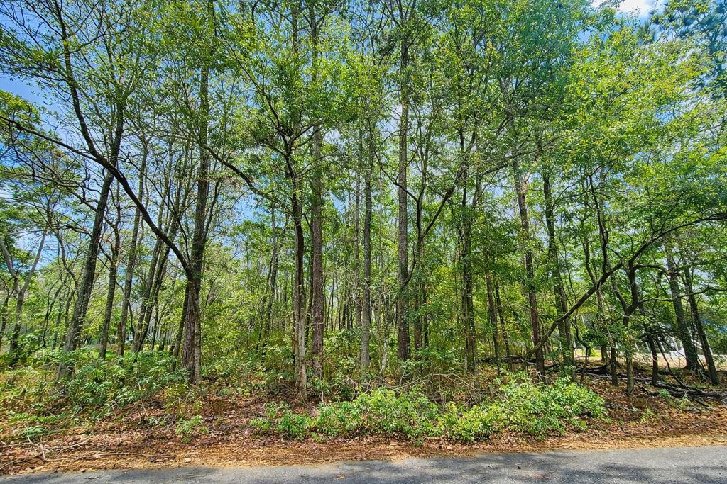 Photo of 890 Flowers Lane, Edisto Island, SC 29438 (MLS # 26005646)