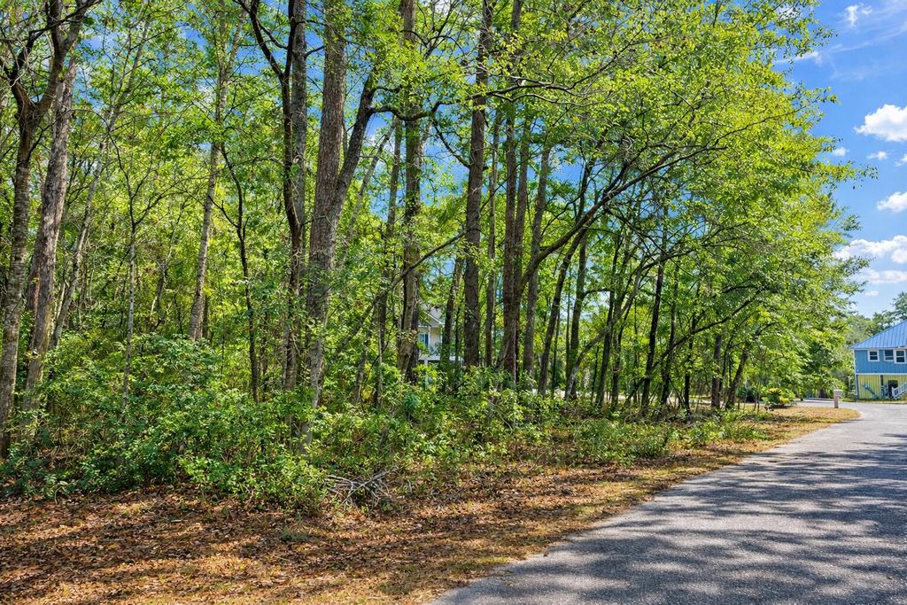 Photo of 890 Flowers Lane, Edisto Island, SC 29438 (MLS # 26005646)