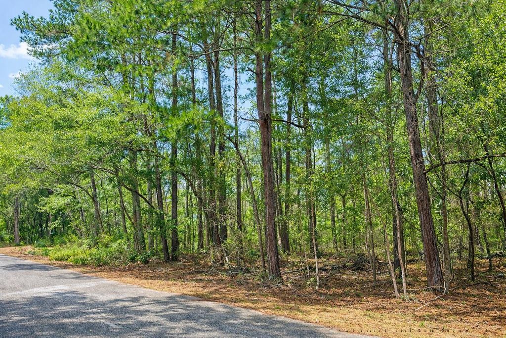 Photo of 890 Flowers Lane, Edisto Island, SC 29438 (MLS # 26005646)