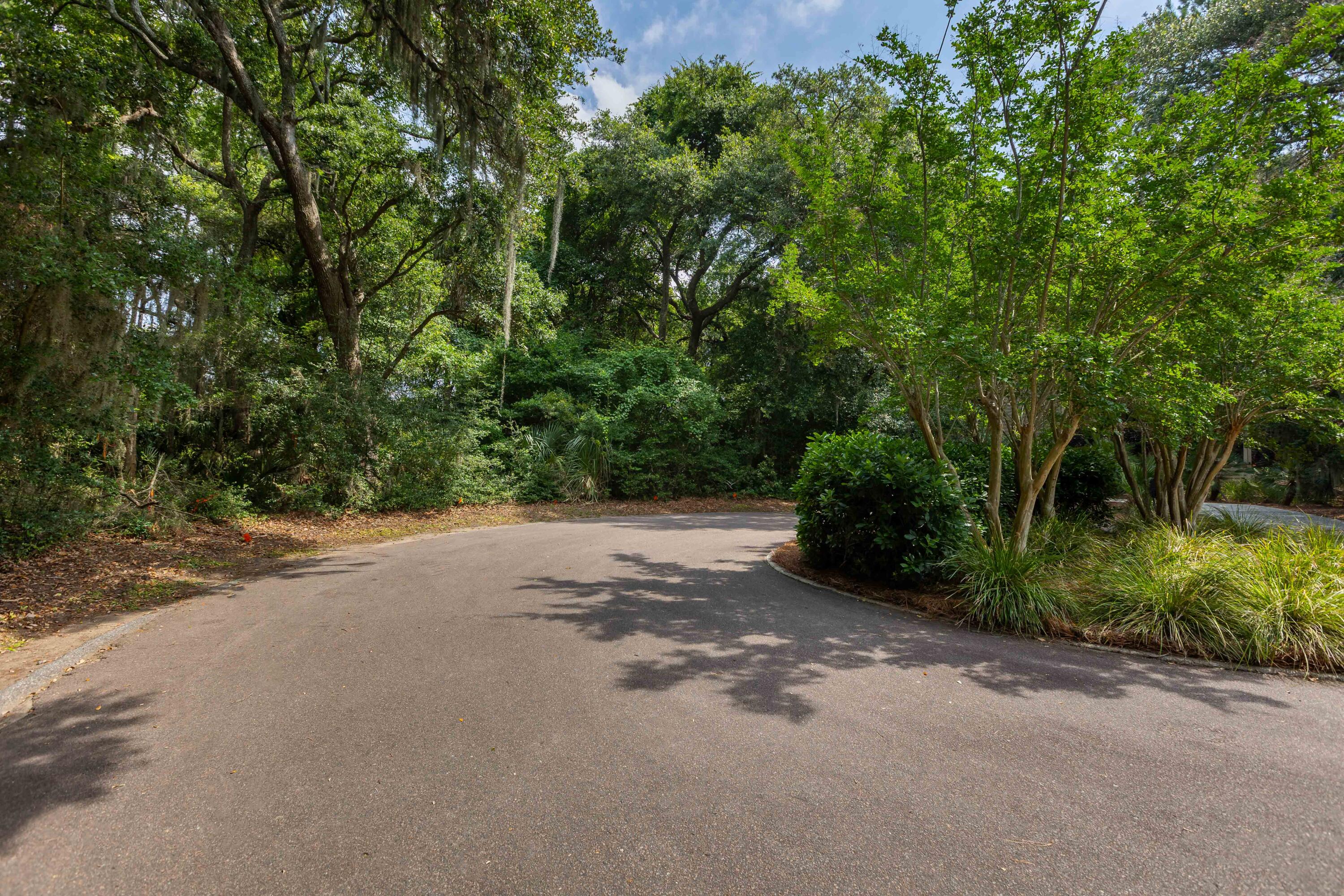2124 Royal Pine Drive