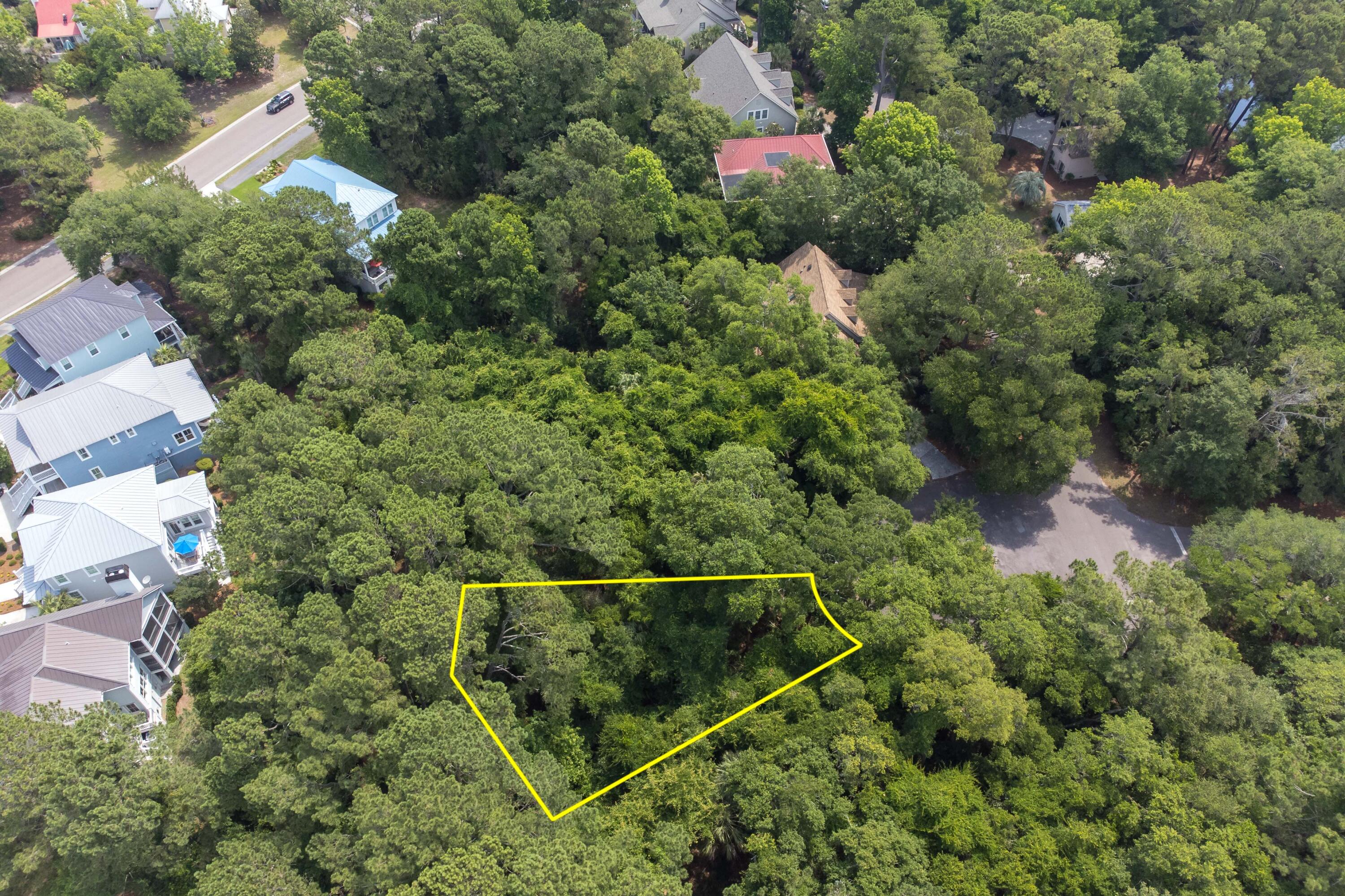 2124 Royal Pine Drive