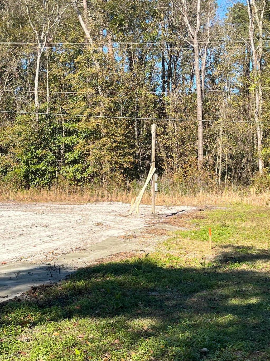 Photo of 6224 Martin Street, Ravenel, SC 29470 (MLS # 25004353)