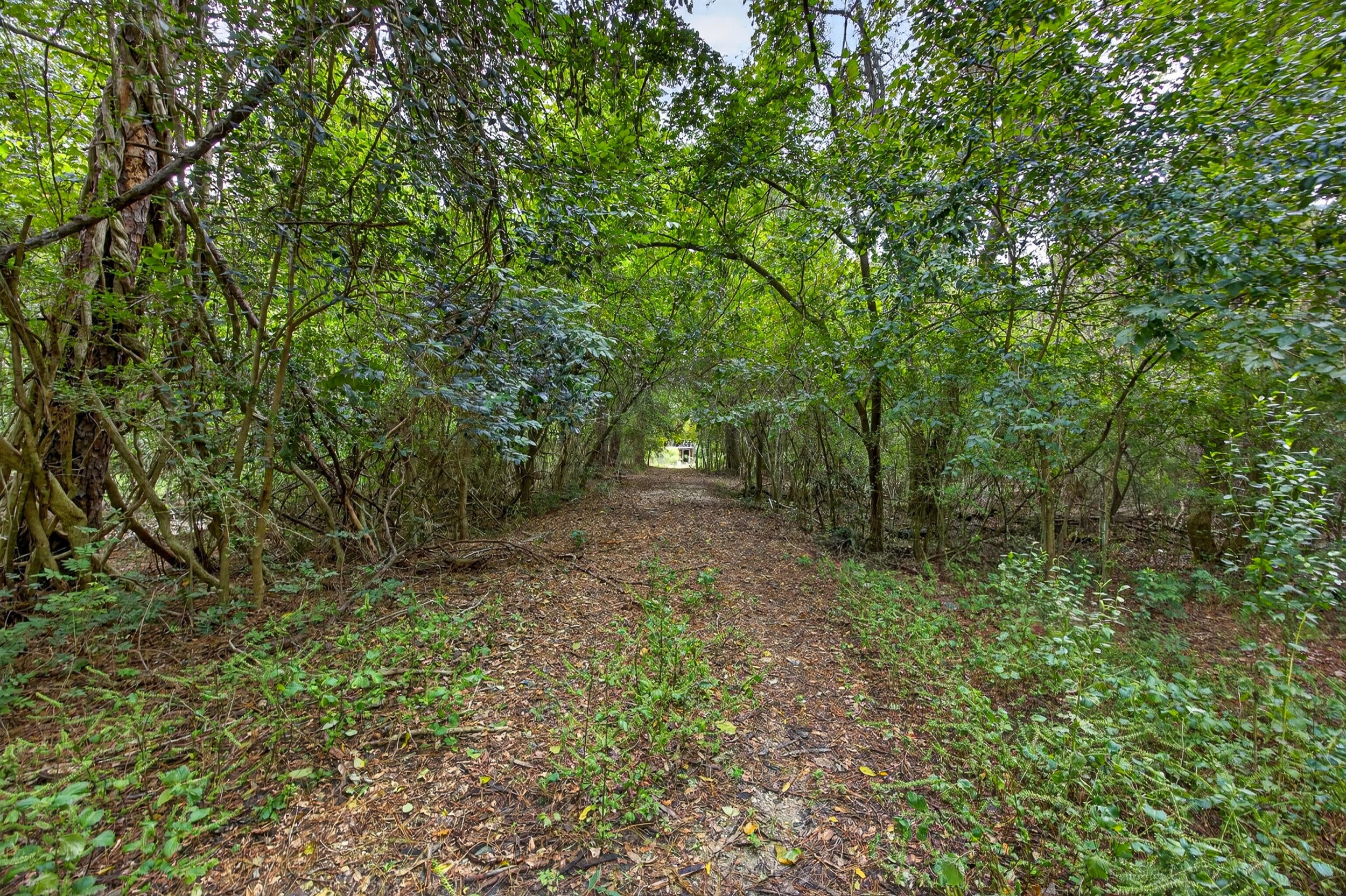 0 Jandrell Road