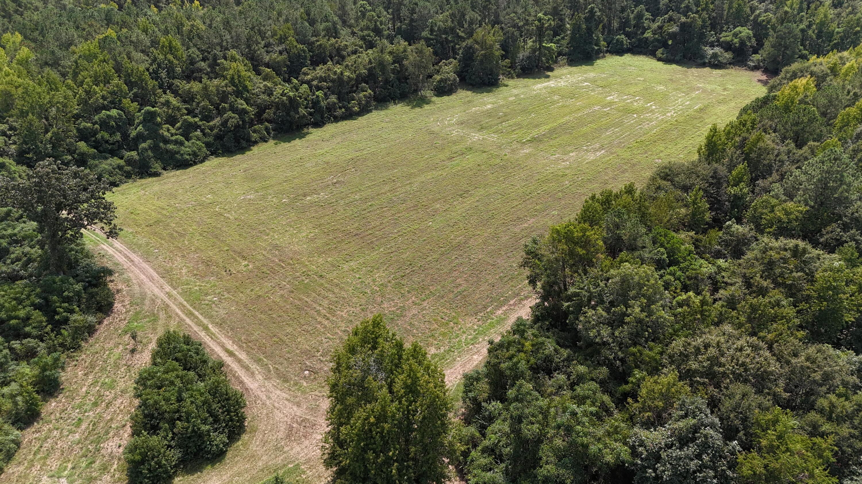 286 Shrike Road