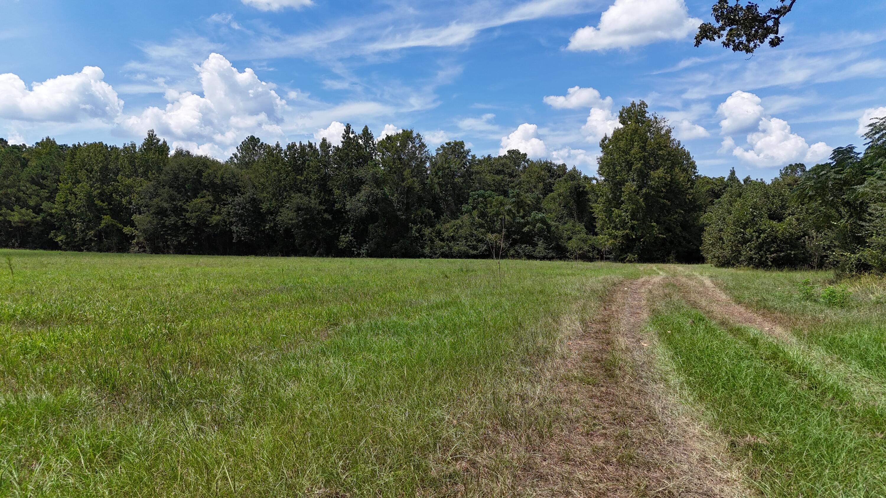 286 Shrike Road