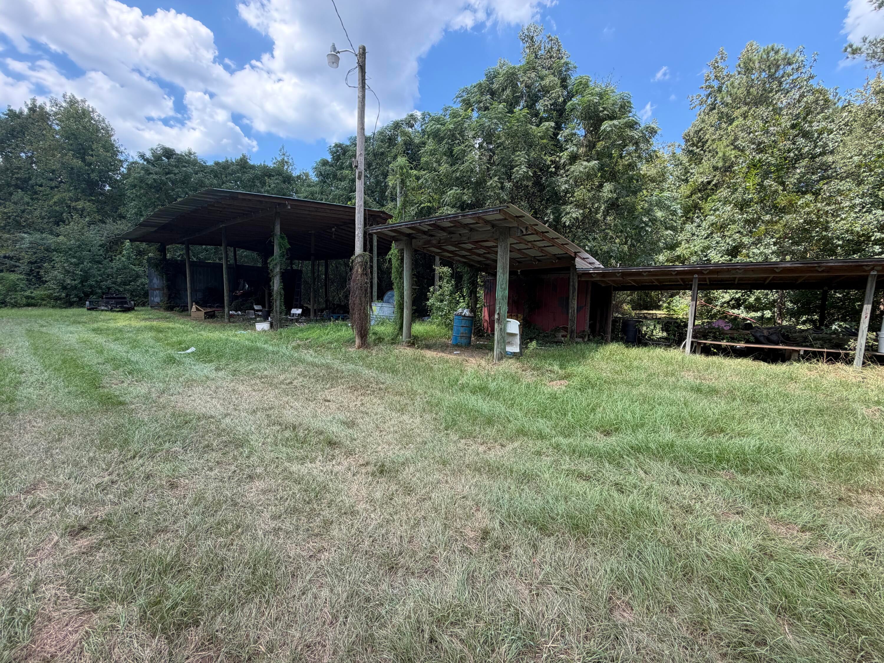286 Shrike Road
