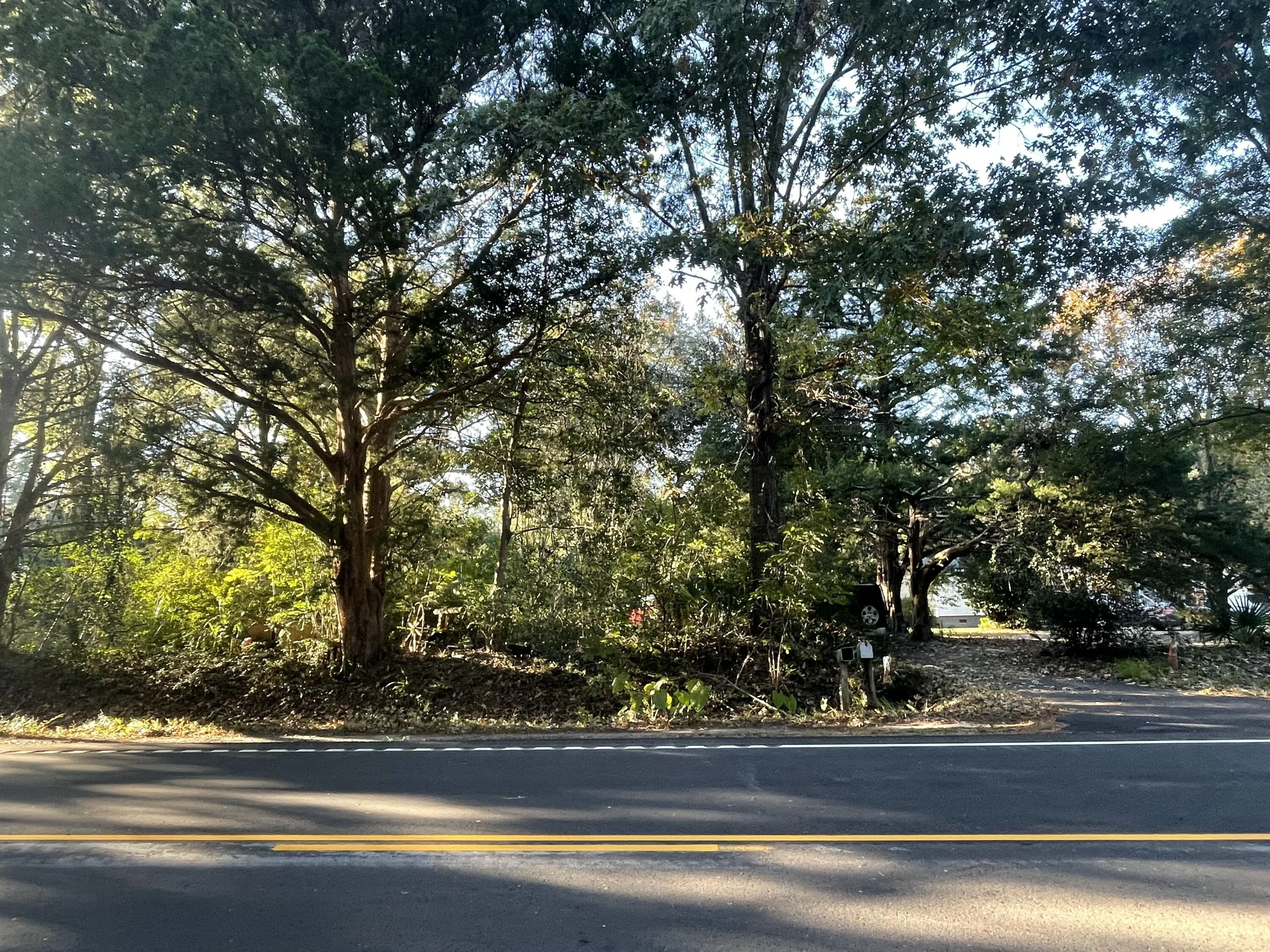 7690 Toogoodoo Road, Meggett, SC, 29449