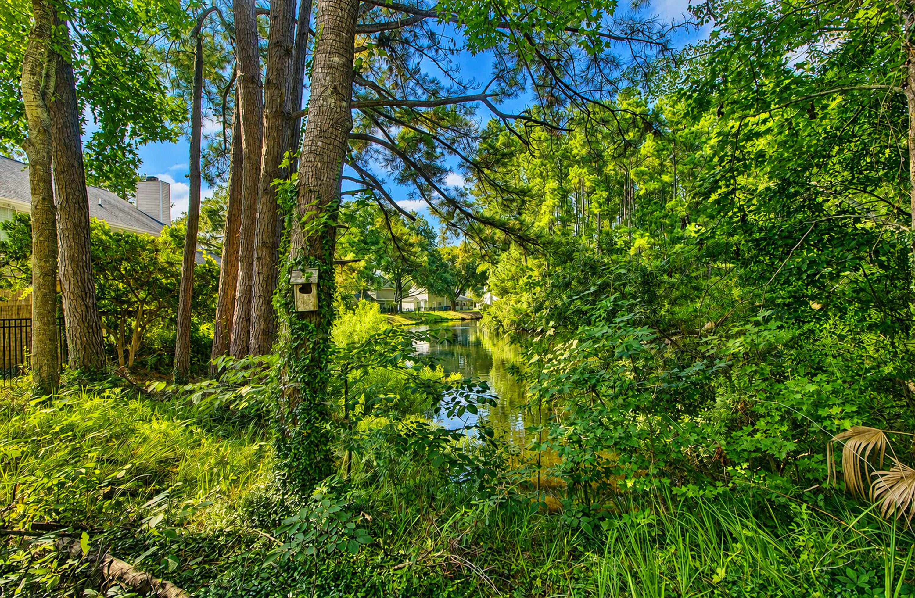 1281 Horseshoe Bend