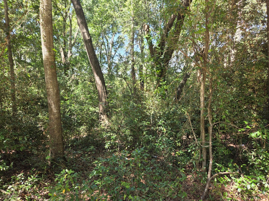 Photo of 1026c Mathis Ferry Road, Mount Pleasant, SC 29464 (MLS # 26025956)