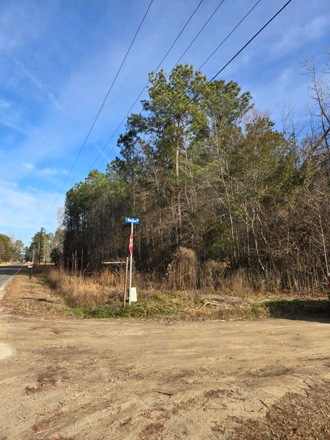 0 Whitestone Drive Reevesville SC 29471