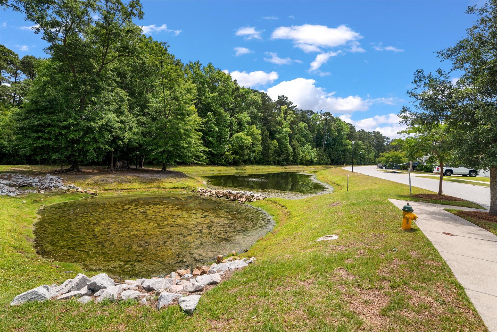 1610 Fishbone Drive