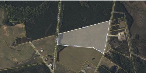 0 Morrisville Road Andrews SC 29510