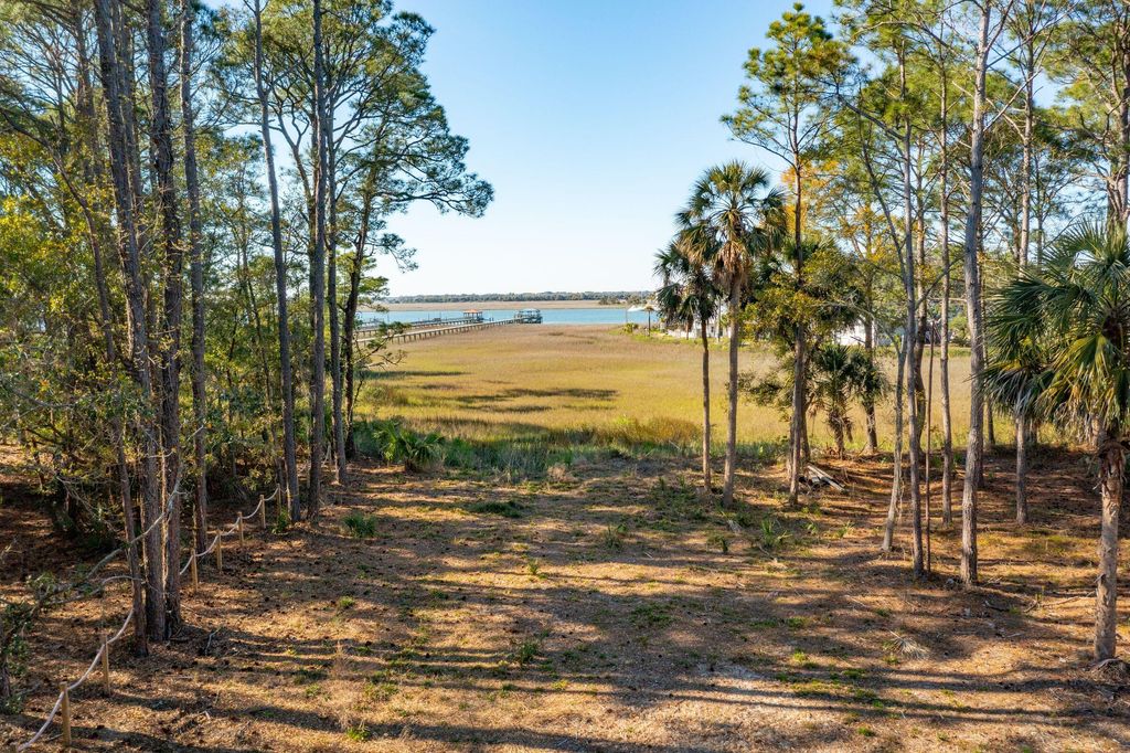 Photo of 290 Shadow Race Lane, Folly Beach, SC 29439 (MLS # 25008045)