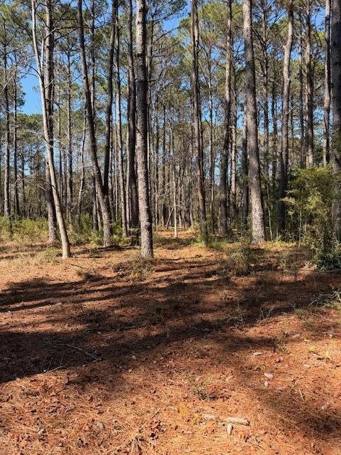 4131 Betsy Kerrison Parkway