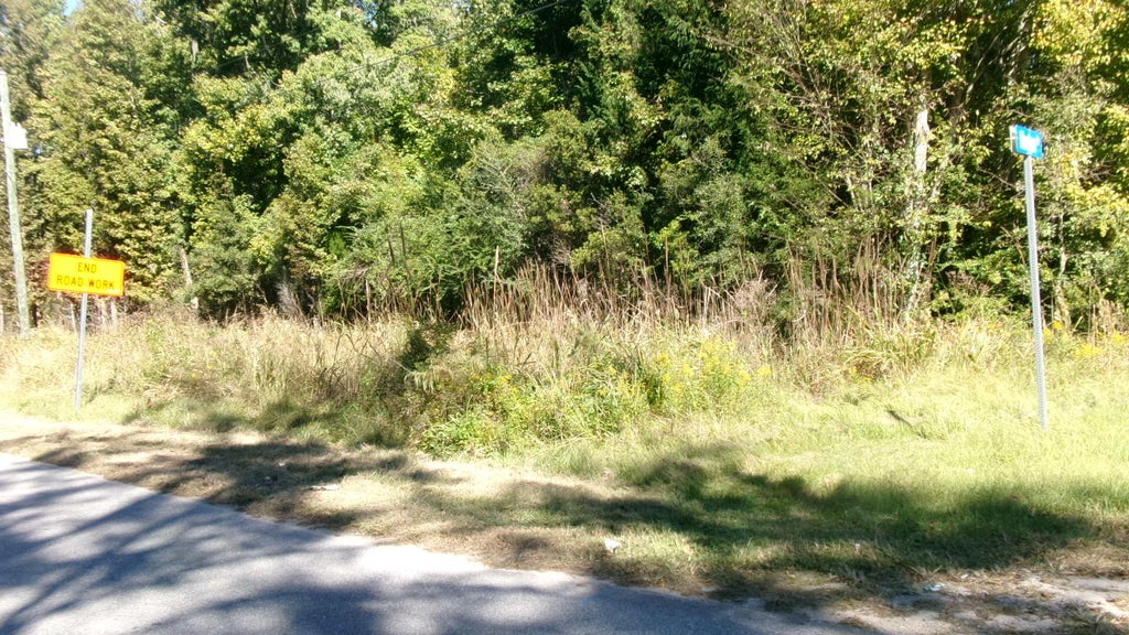 Photo of Lot 3 Manor Road, Hollywood, SC 29449 (MLS # 26028965)