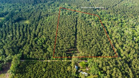 0 Sparks Lane Jacksonboro SC 29452
