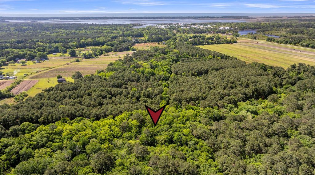 Photo of 00 Reggie Road, Johns Island, SC 29455 (MLS # 24010373)