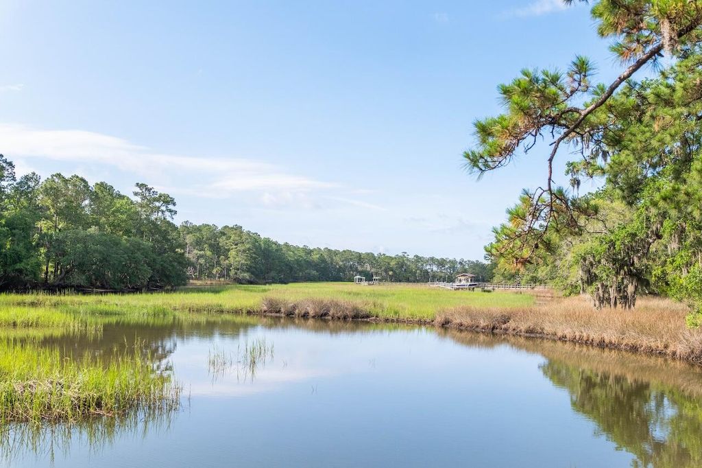 Photo of 1044 Bradbury Lane, Charleston, SC 29492 (MLS # 25016341)