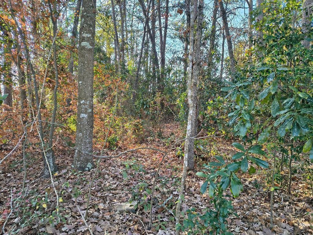 Photo of 0 Pointer Lane, Summerville, SC 29485 (MLS # 25032871)
