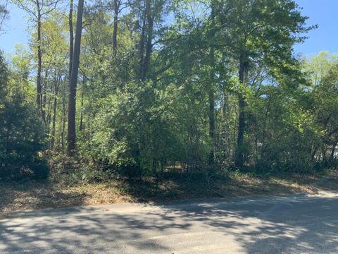 0 Ash Hill Drive Eutawville SC 29048