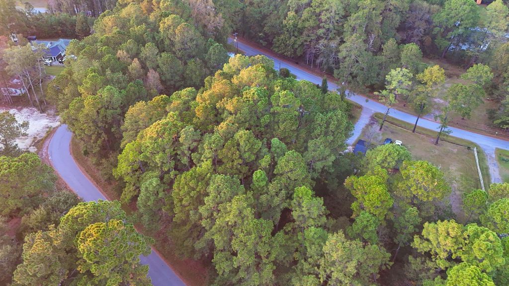 Photo of 6164 Smith Road, Ravenel, SC 29470 (MLS # 25029913)