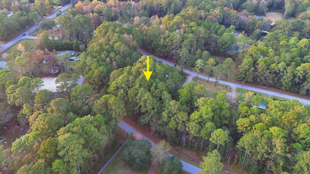 Photo of 6164 Smith Road, Ravenel, SC 29470 (MLS # 25029913)