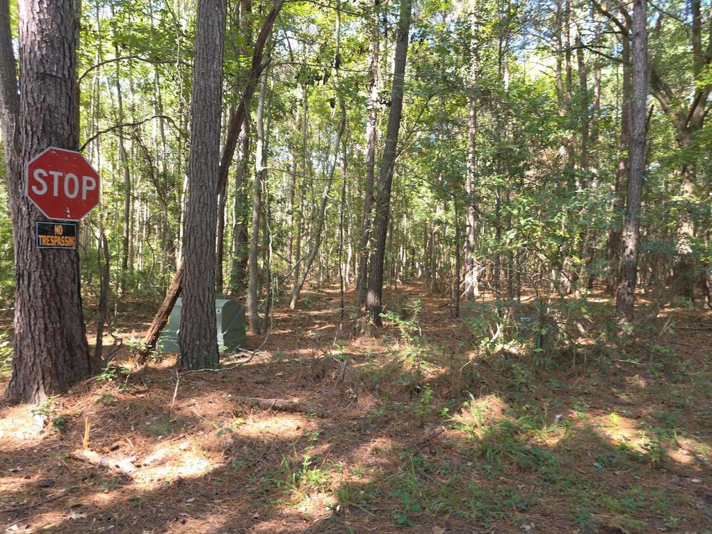 Photo of 1128 Choice Road, Johns Island, SC 29455 (MLS # 25028988)