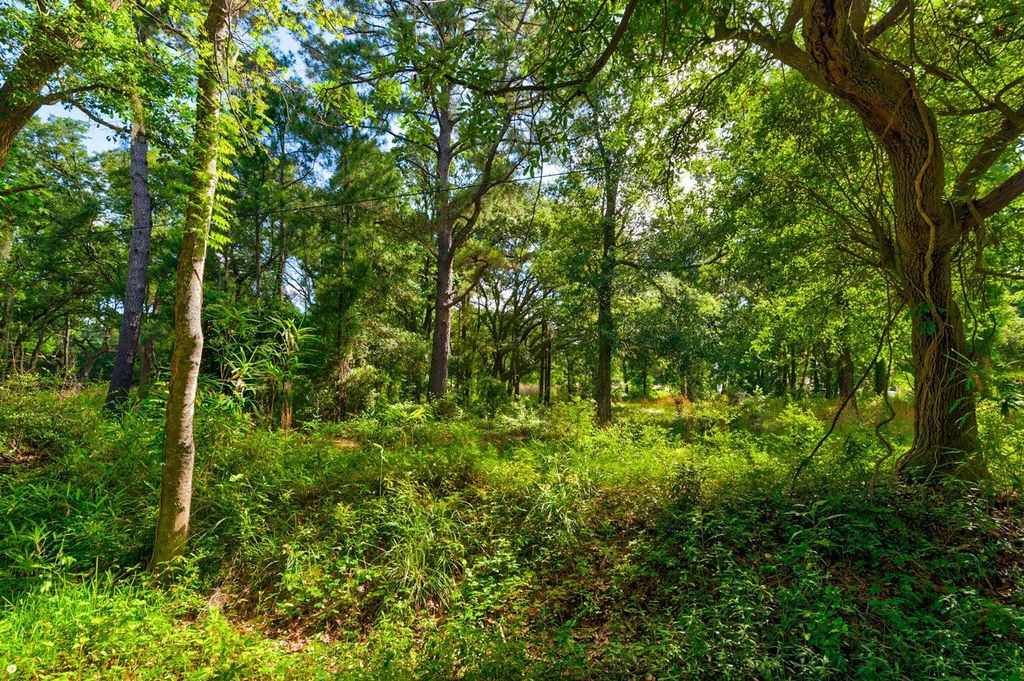Photo of 000 Arsburn Road, James Island, SC 29412 (MLS # 25013163)