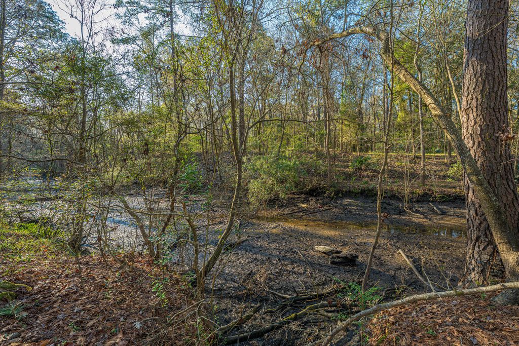 Photo of 113 Hampton Drive, Summerville, SC 29485 (MLS # 26006866)