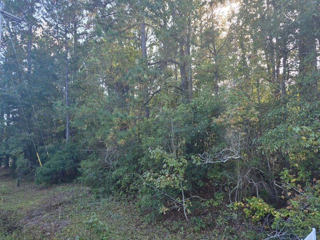 Photo of 000 Haynesville Ext Road, Moncks Corner, SC 29461 (MLS # 24027991)