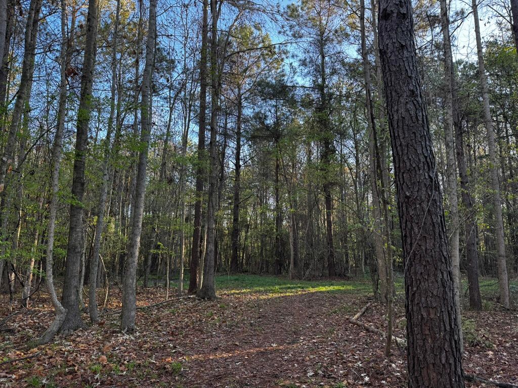 Photo of 0 Beech Hill Road, Summerville, SC 29485 (MLS # 26009559)