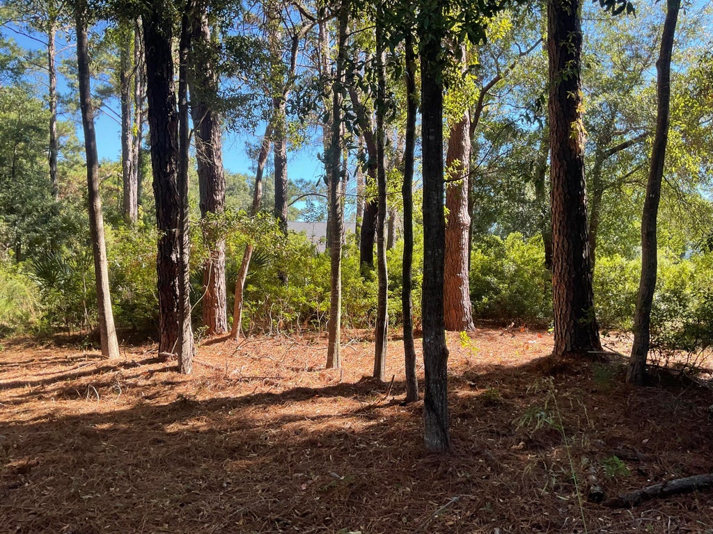 Photo of 8366 Palmetto Road, Edisto Island, SC 29438 (MLS # 26028424)