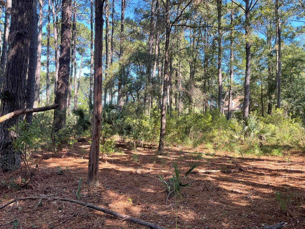 Photo of 8366 Palmetto Road, Edisto Island, SC 29438 (MLS # 26028424)