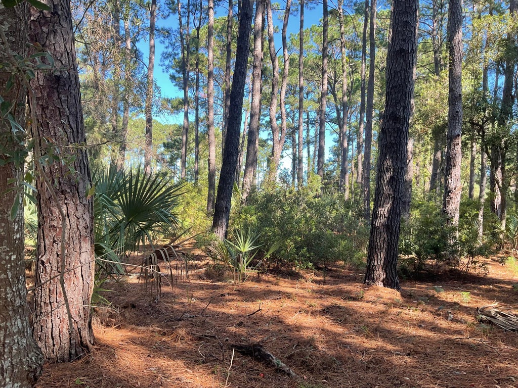 Photo of 8366 Palmetto Road, Edisto Island, SC 29438 (MLS # 26028424)