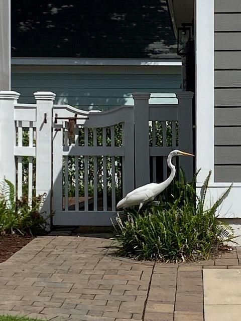 A home in Mount Pleasant