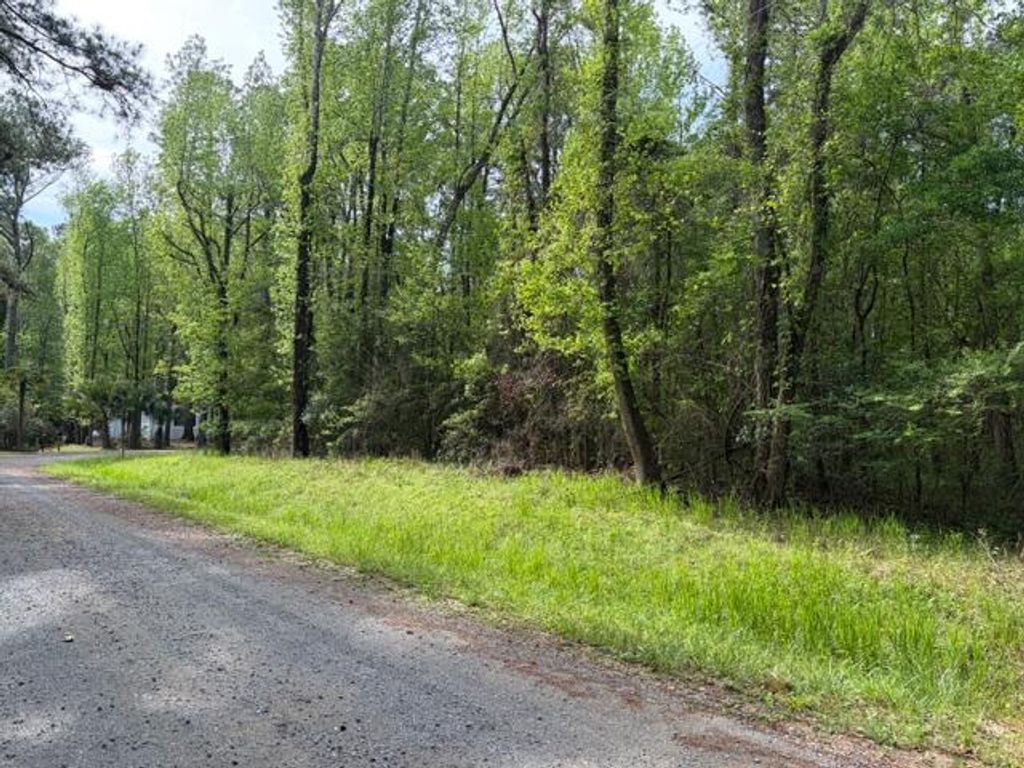 Photo of Lot 12a Osprey Drive, Moncks Corner, SC 29461 (MLS # 26009684)