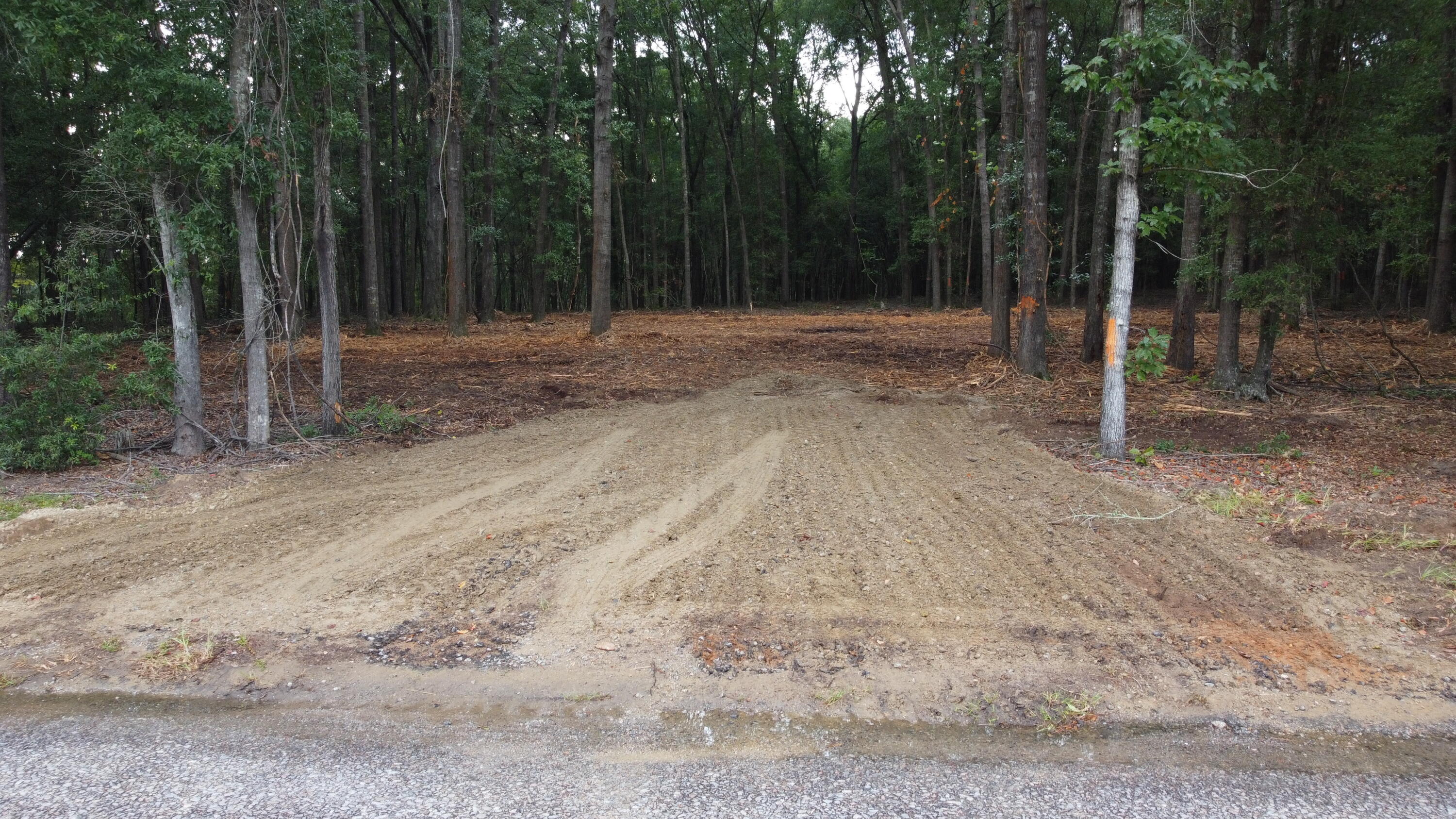 7 Francis Marion Boulevard