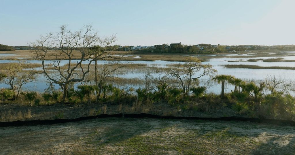 Photo of 1153 Ship Builder Street, Charleston, SC 29492 (MLS # 25024149)