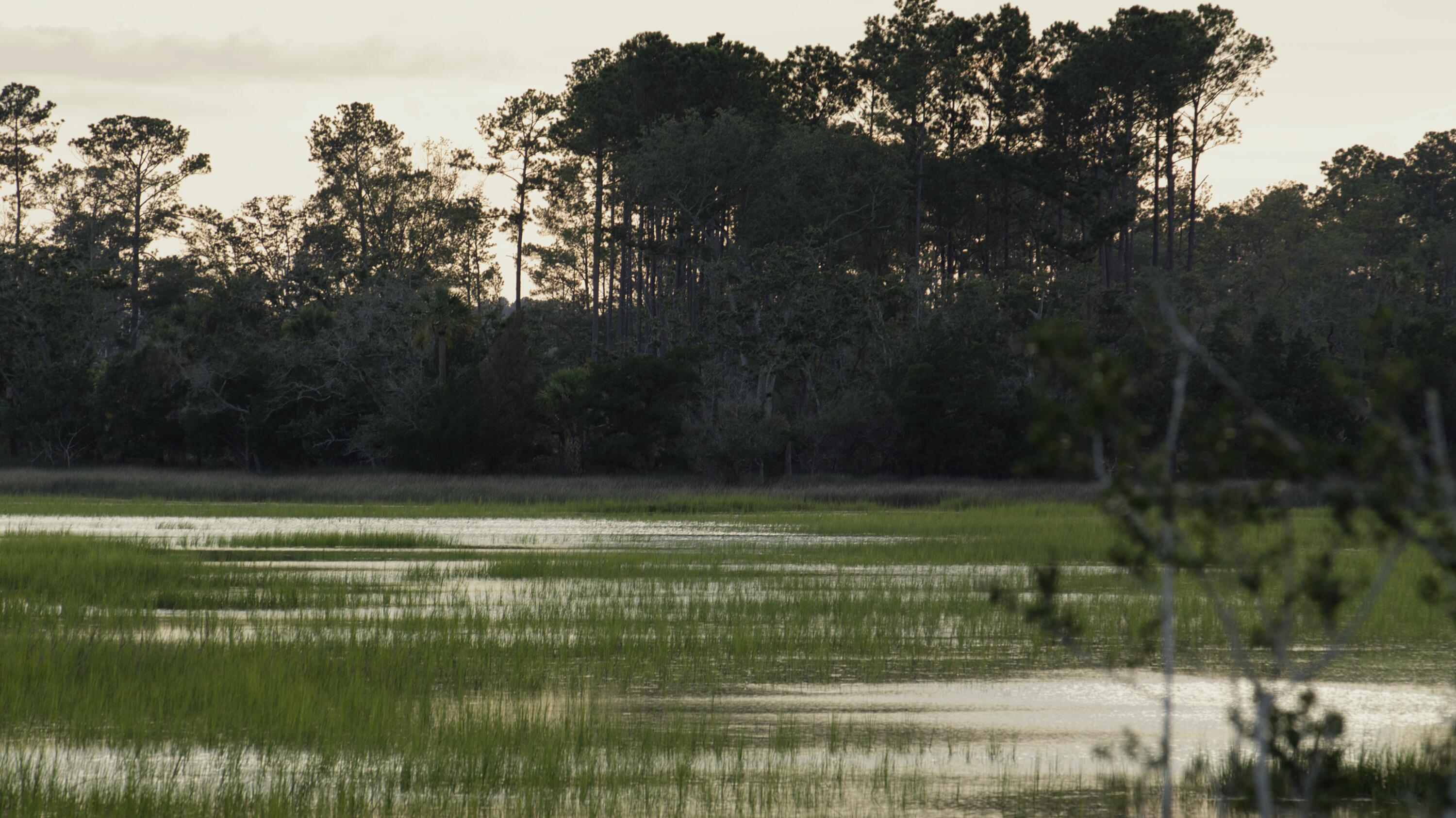 1153 Ship Builder Street