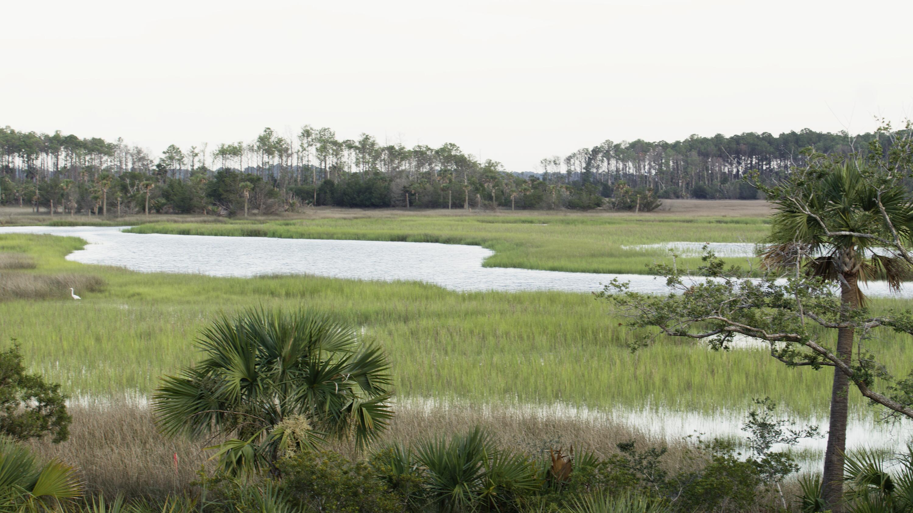 1153 Ship Builder Street