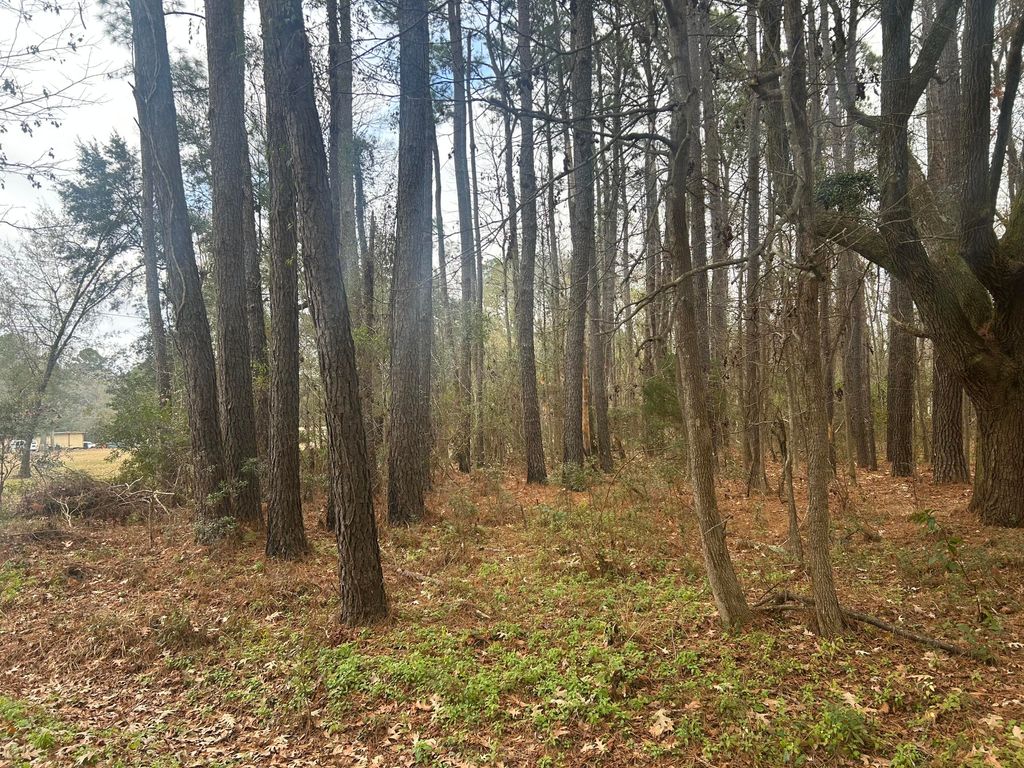 Photo of 2437 Cape Road, Johns Island, SC 29455 (MLS # 26000715)