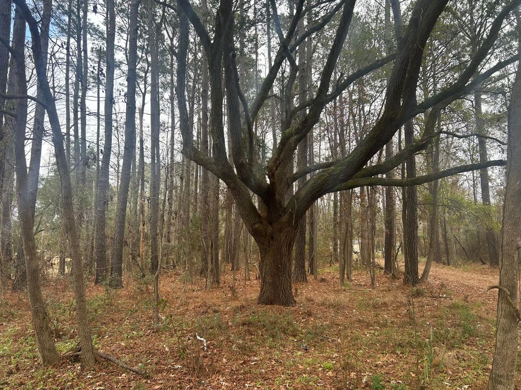 Photo of 2437 Cape Road, Johns Island, SC 29455 (MLS # 26000715)