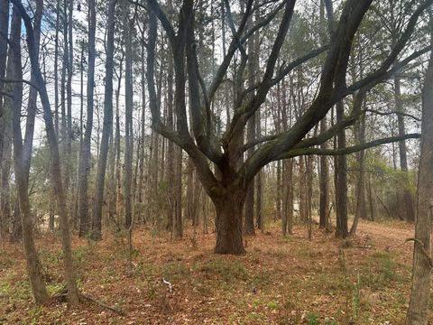 2437 Cape Road Johns Island SC 29455