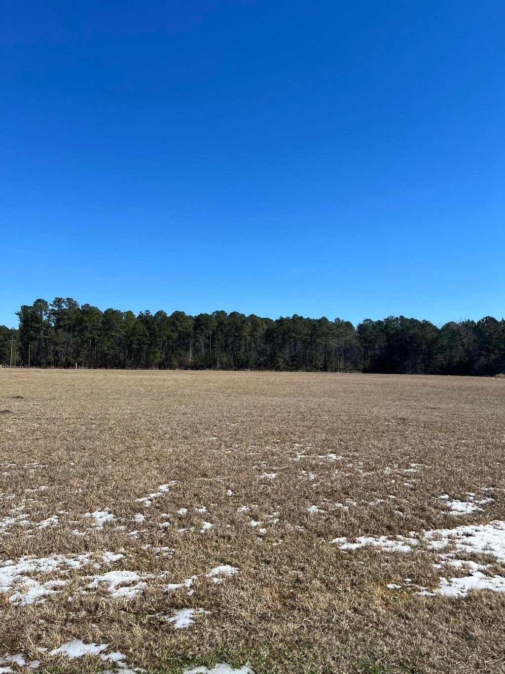 Photo of 000 Hard Pinch Road #A &amp; B, Moncks Corner, SC 29461 (MLS # 25002094)