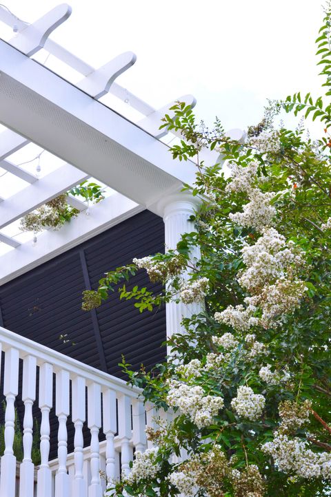 A home in Mount Pleasant