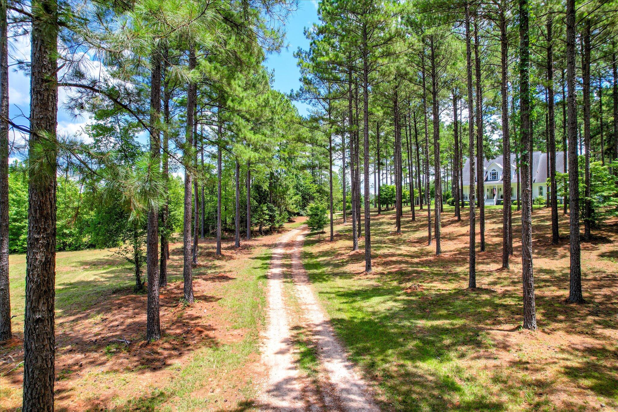 395 New Cut Road