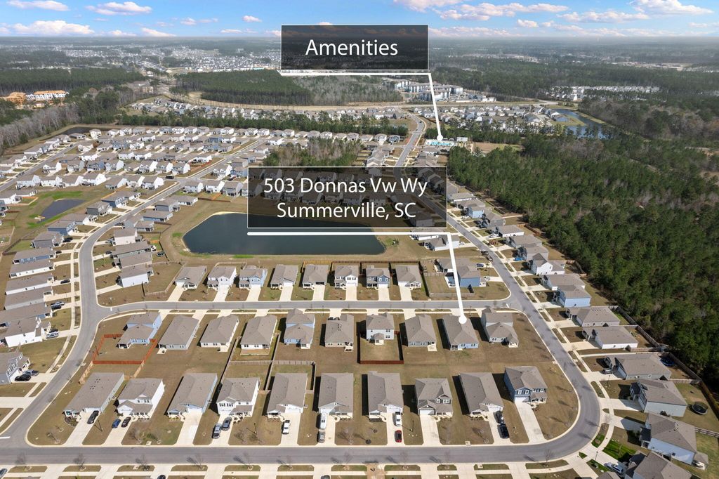 Photo of 503 Donnas View Way, Summerville, SC 29486 (MLS # 26007044)