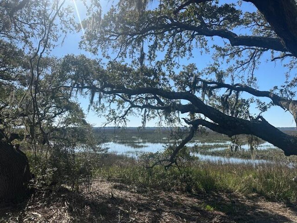 Photo of 3495 Legareville Road, Johns Island, SC 29455 (MLS # 25006553)