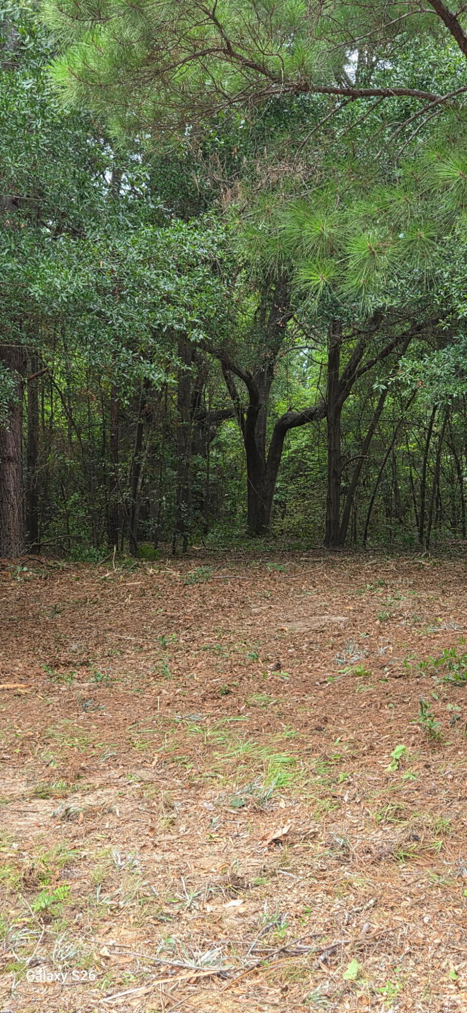 00 Cooper Lane